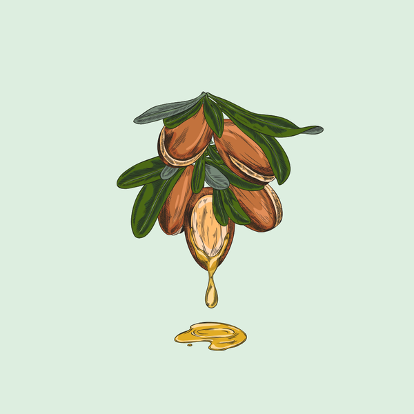 Shea Butter (Shea)